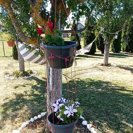 Zdenka Апартаменты Ливно